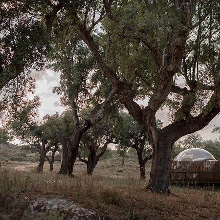 Finca El Cortinal Валенсия-де-Алькантар Экстерьер фото