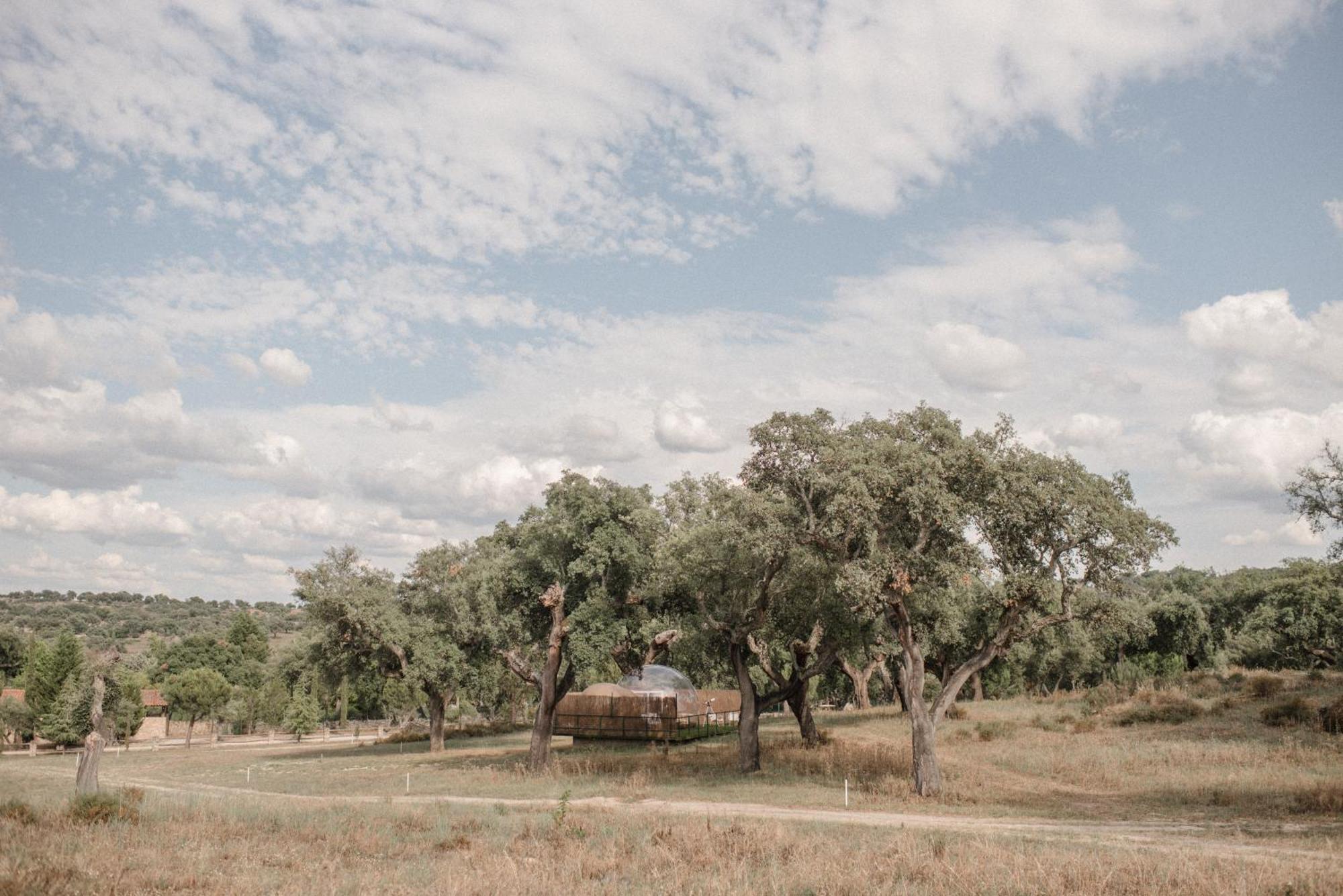 Finca El Cortinal Валенсия-де-Алькантар Экстерьер фото