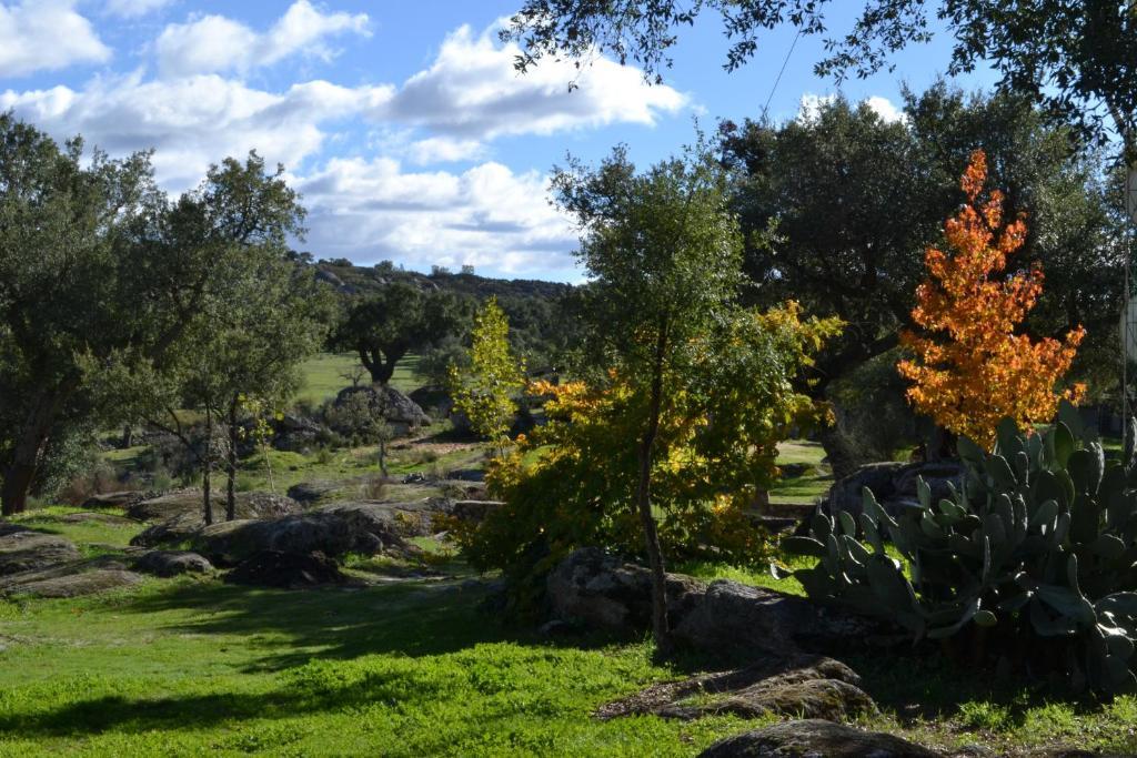 Finca El Cortinal Валенсия-де-Алькантар Номер фото